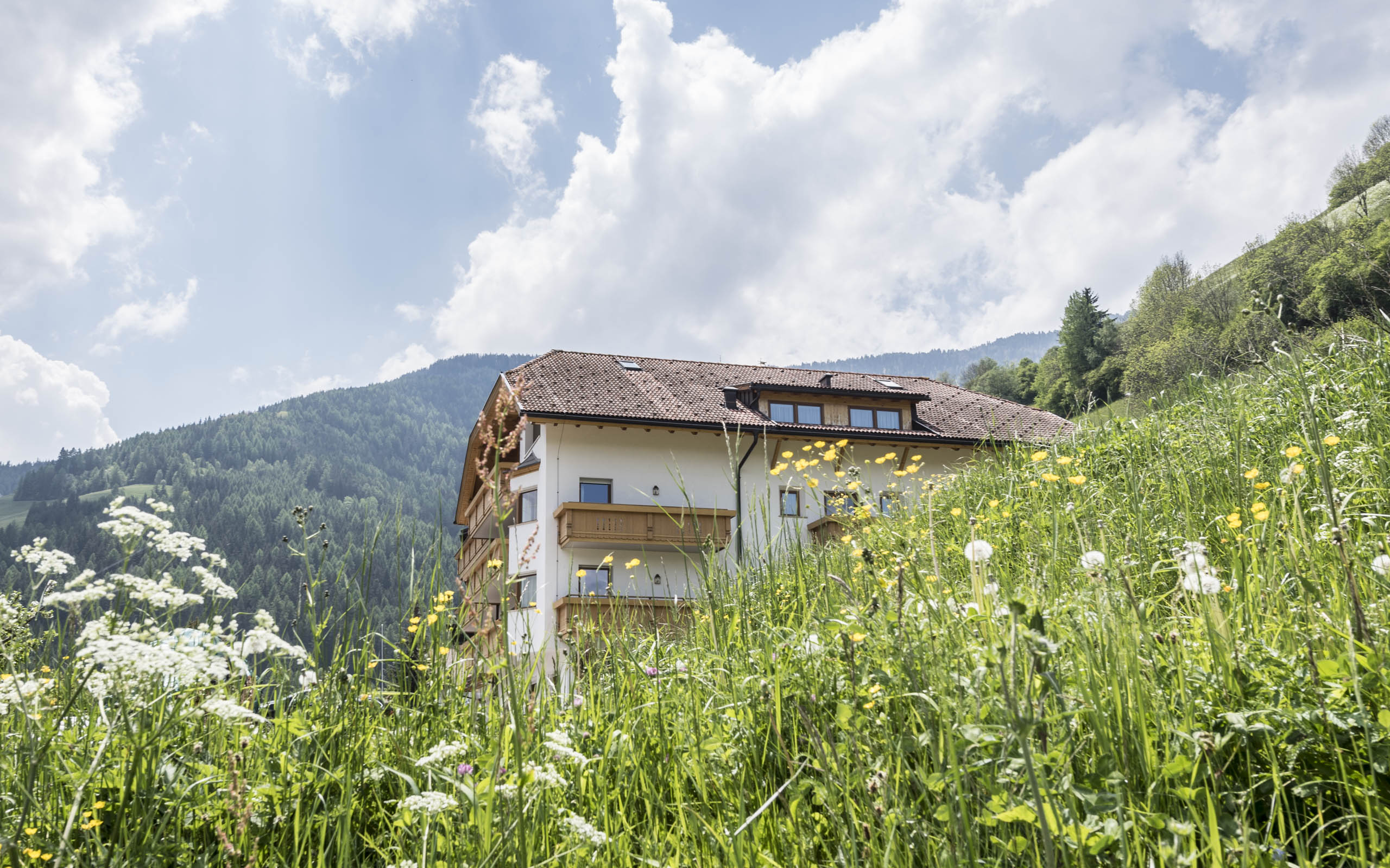 Hotel Onach in San Lorenzo di Sebato, Italy